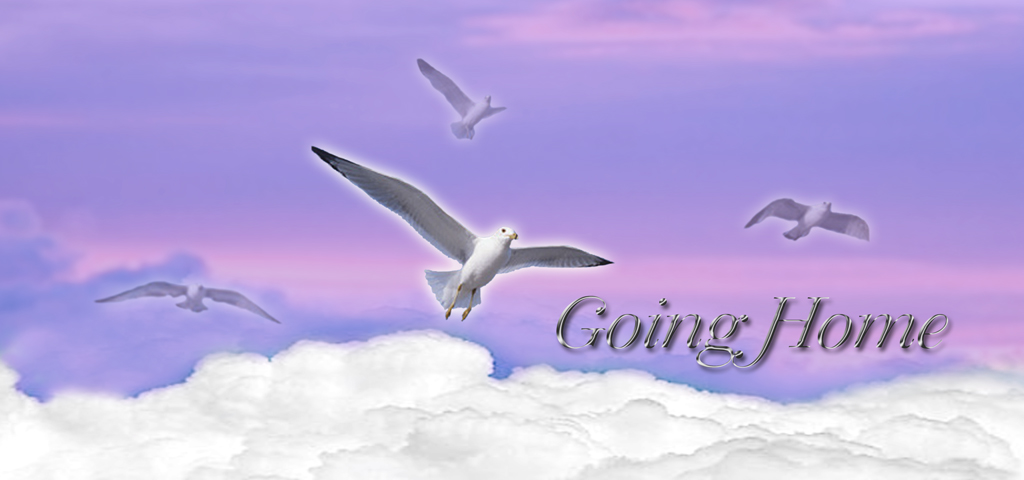 Purple (Going Home) PROOF